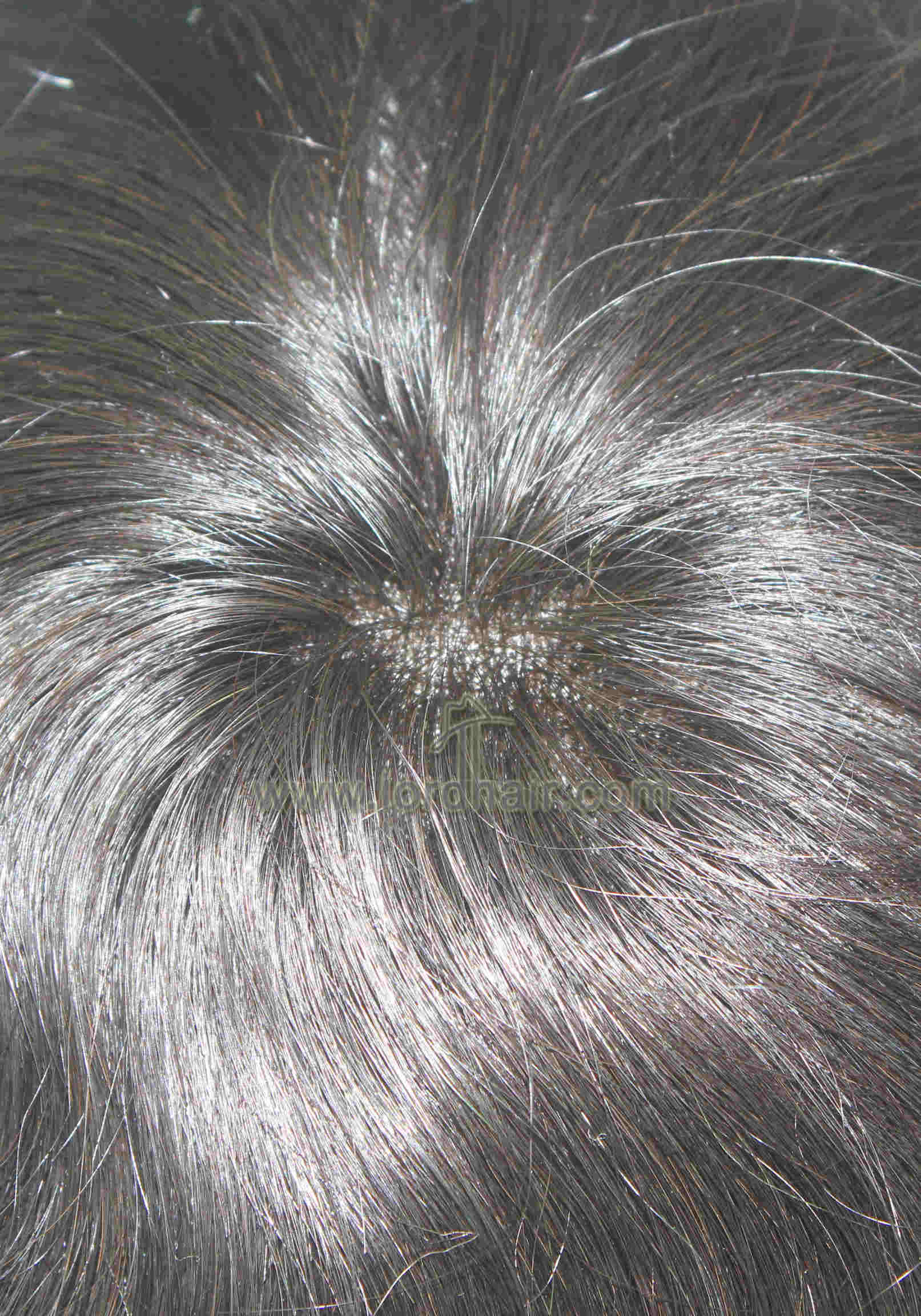 YJ1187: French Lace with Clear PU Patch Indian Human Hair Toupee